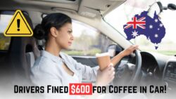 Australia’s New Road Law 2025 – Drivers Fined $600 for Drinking Coffee While Driving