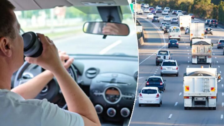 NSW and QLD transport